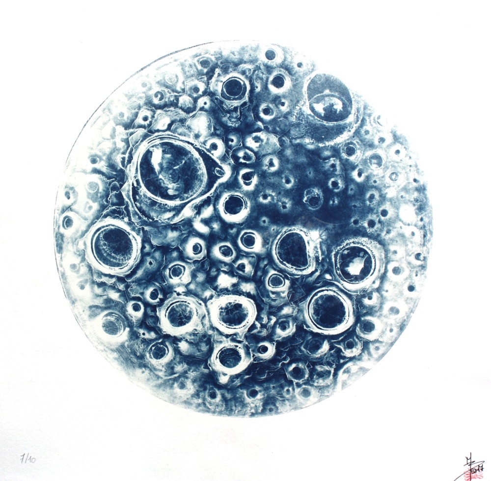 "Cellule"