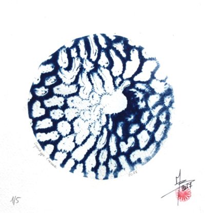 "Coraux 2"