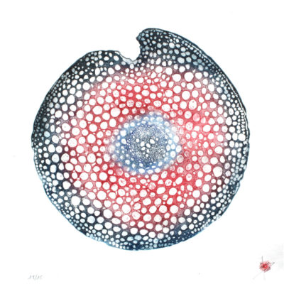 "Cellule rouge"
