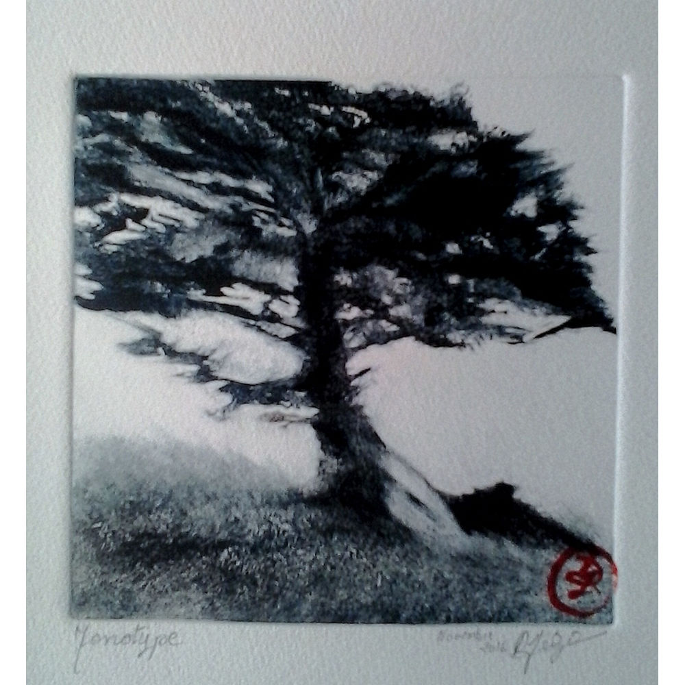 "Arbre bleu"
