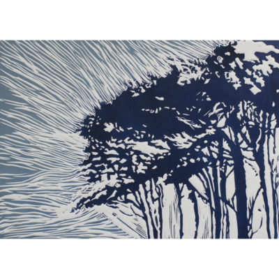 "Arbres dans la tempête"