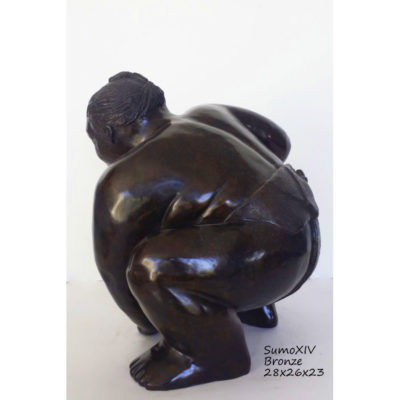 "Sumo XIV"