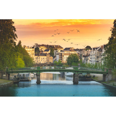 "Les cormorans de l'Erdre"