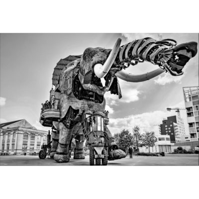 "L'eléphant"