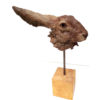 "Tête de lièvre" – Image 2