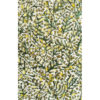 "Les mimosas"