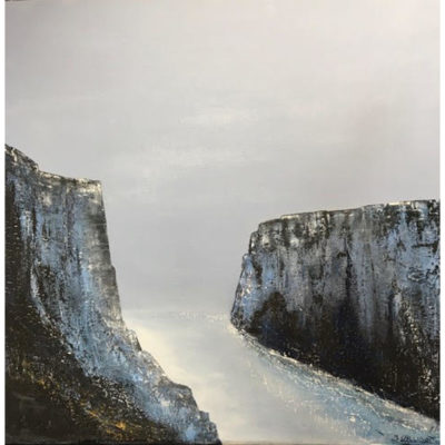 "Côtes du grand Ouest 251"
