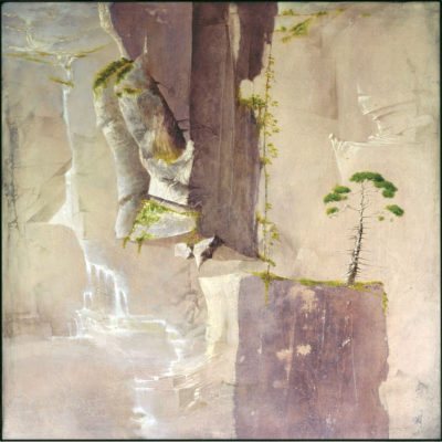 "Le lien végétal"