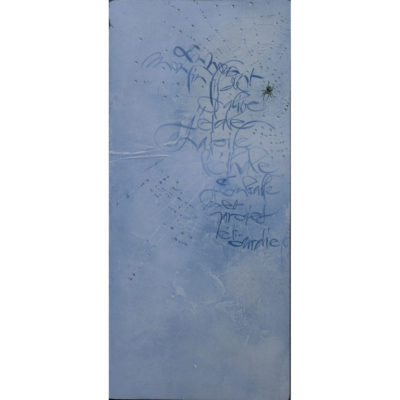 "Toile léthale"