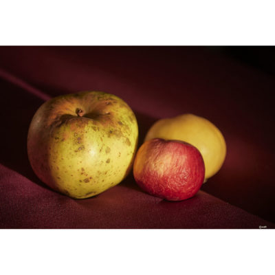 "Pomme"