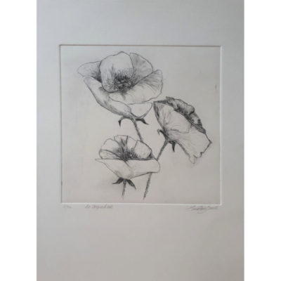 "Les coquelicots n°1"