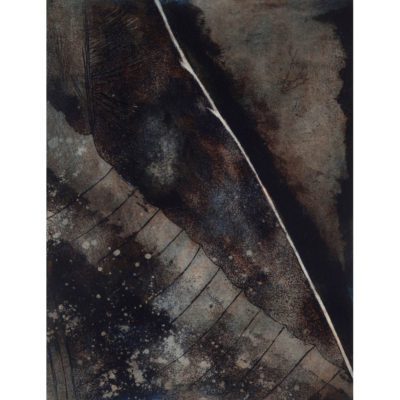 "Mémoire de la forêt"