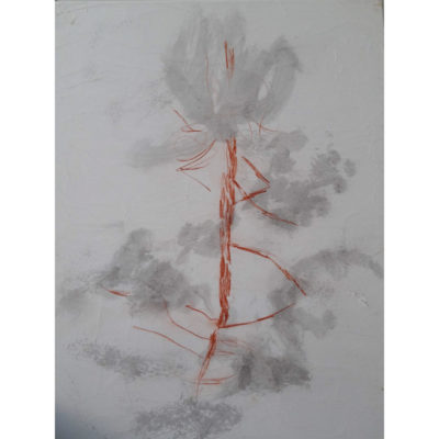 "Arbre 2"