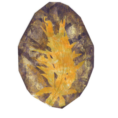 "Fossile 7"