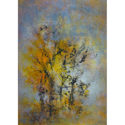 "L'élégance des arbres en hiver"