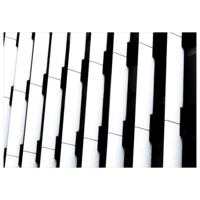 "Lines "