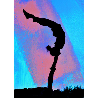 "Acrobates"