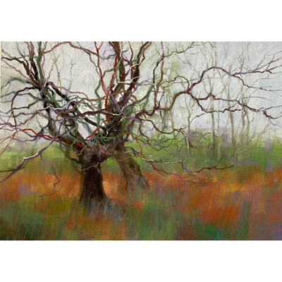 "L'hiver doré"