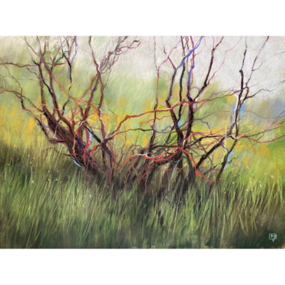 "L'arbre en fête"