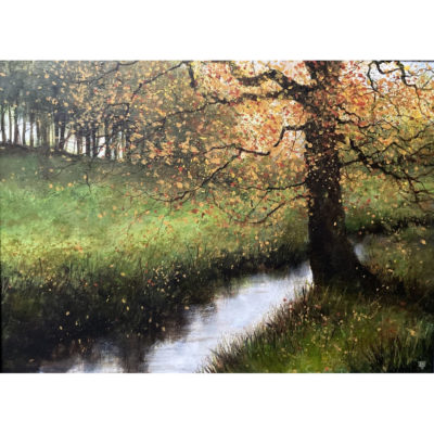 "Les couleurs dorées de l'automne"