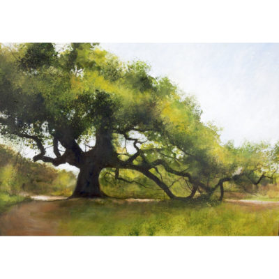 "Du ciel à la terre"