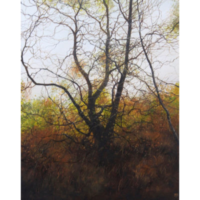 "Couleurs d'automne"