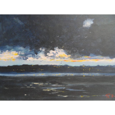 "Crépuscule sur Séné"