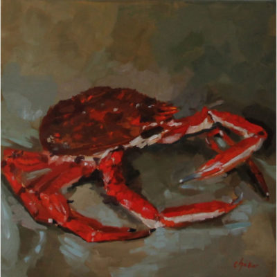 "L'araignée de mer"
