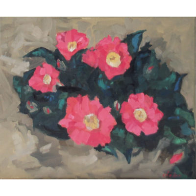"Les camélias du jardin de Kerstéphan"