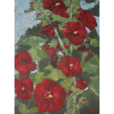 "Les roses trémières du jardin"