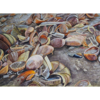 "Marée basse"