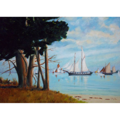 "Morbihan semaine du Golfe"