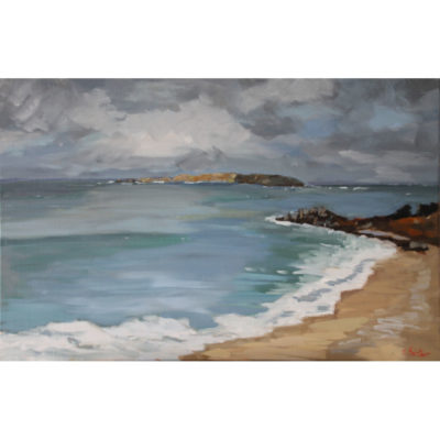 "Trestrignel, la Pointe du Château et l'île Tomé"