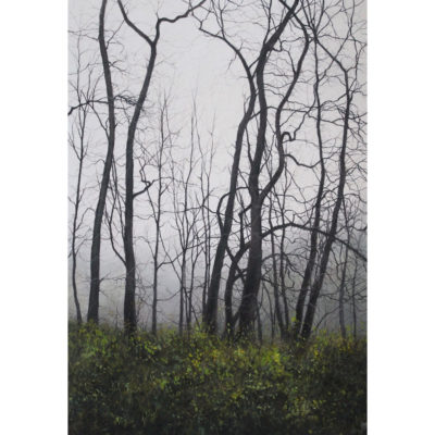 "Jour de brouillard"