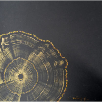 "Arbre 4"