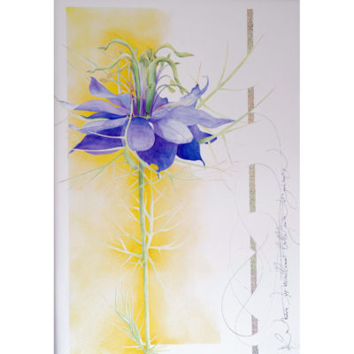 "Nigelle 2"