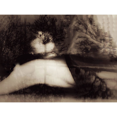 "Autoportrait N12"