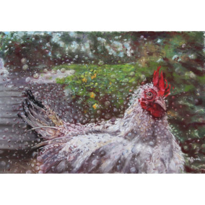 "Poule mouillée"