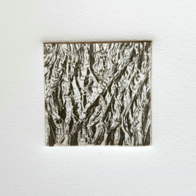 "Wood 3"