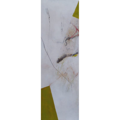 "Chants d'oiseaux 4"