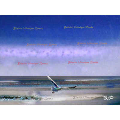 "Claude Debussy La mer - Esquisse symphonique N°1 – Envol"