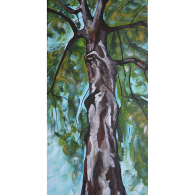 "Maibaum"