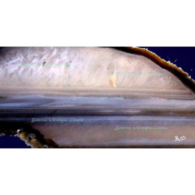 "C. Debussy « Eternité »"