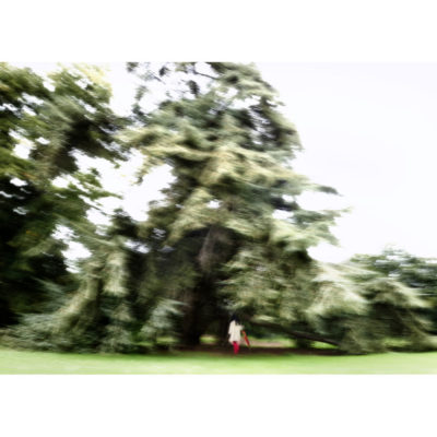 "Série Impression: Impression#8"