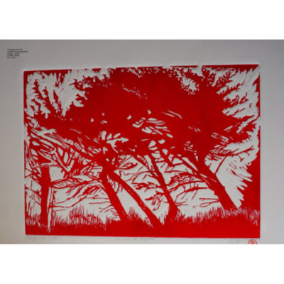 "Les pins de Kerguelen"