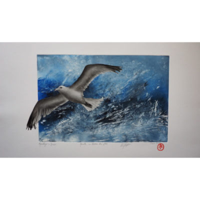 "Mouette au-dessus des flots"