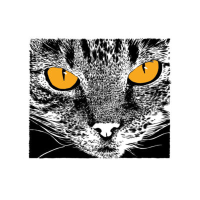 "Présences, Chat 4"