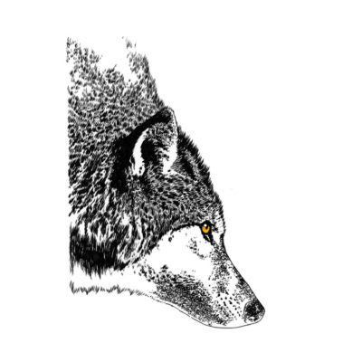 "Présences, Loup"