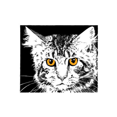 "Présences, Chat 2"