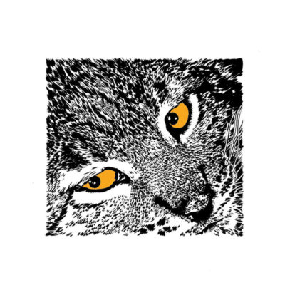 "Présences, Lynx"